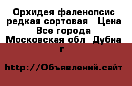 Орхидея фаленопсис редкая сортовая › Цена ­ 800 - Все города  »    . Московская обл.,Дубна г.